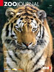 Schwerpunkt Tiger