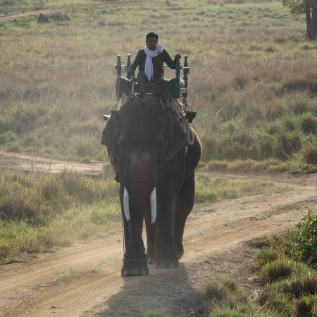 Khanna National Park
