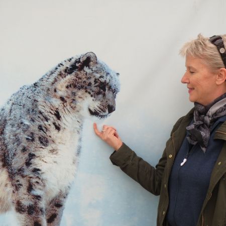 Schneeleopard in Osch