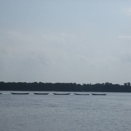 Amazonas, Anavilhanas