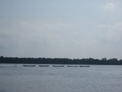 Amazonas, Anavilhanas