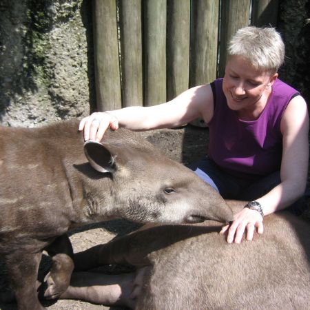 Schmusen mit Baby und Mama Tapir